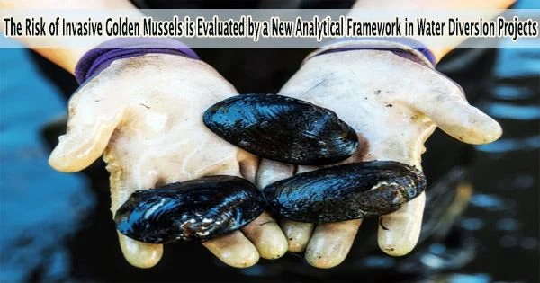 The Risk of Invasive Golden Mussels is Evaluated by a New Analytical Framework in Water Diversion Projects