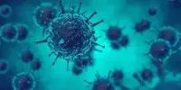The Way Flu Virus Infiltrates Our Cells