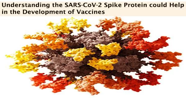 Understanding the SARS-CoV-2 Spike Protein could Help in the Development of Vaccines