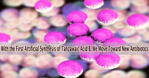 With the First Artificial Synthesis of Tanzawaic Acid B, We Move Toward New Antibiotics