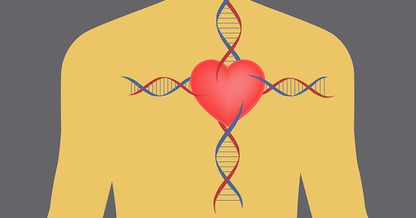 A New Study has discovered Genetic Risk Factors for Heart Failure