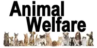 Key Components of Animal Welfare