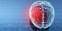 Brain Biometrics aid in the identification of Sports Concussions
