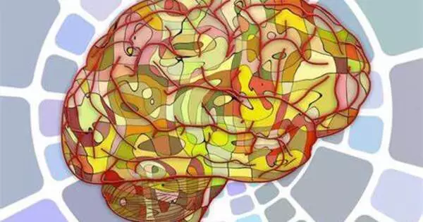 Brain Signals for improved Memory Performance have been Identified