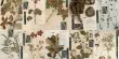 Conservation and Restoration of Herbaria