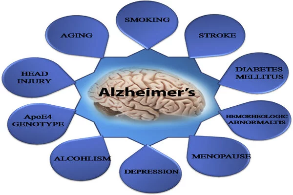 Educational attainment protects against a genetic risk factor for Alzheimer's disease