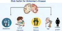 Education Protects against a Hereditary Risk Factor for Alzheimer’s Disease