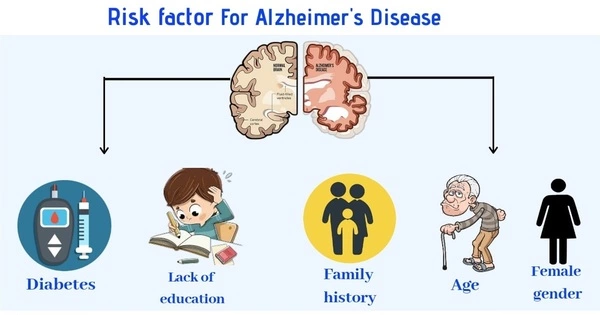 Education Protects against a Hereditary Risk Factor for Alzheimer’s Disease