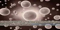 Glioblastoma Stem Cell Self-Renewal and Immunosuppression are Connected Through a Gene