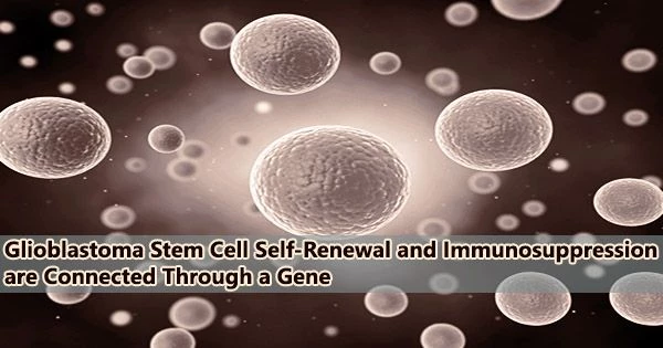 Glioblastoma Stem Cell Self-Renewal and Immunosuppression are Connected Through a Gene
