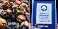 Guinness World Records Has Named Pepper X the World’s Hottest Chili