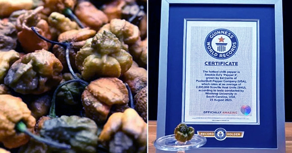 Guinness World Records Has Named Pepper X the World’s Hottest Chili