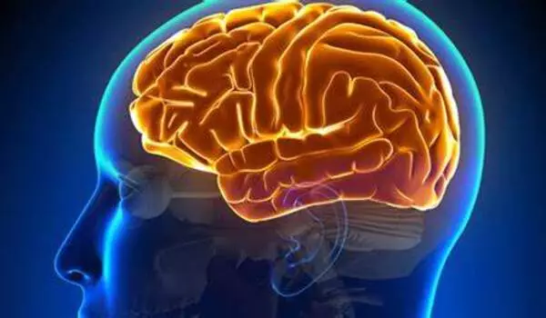 How Childhood Brain Inflammation may lead to Neurological Diseases ...