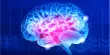 How Childhood Brain Inflammation may lead to Neurological Diseases