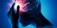 How Migraine Pain Signals are Created and Suppressed