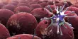 Improving Artificial Immune Cells to Combat Cancer