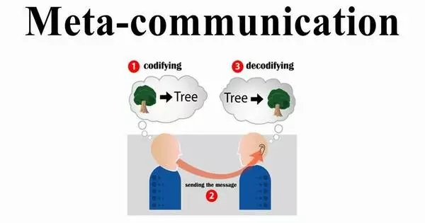 Meta-communication