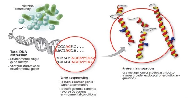 Metagenomics – a study of genetic material