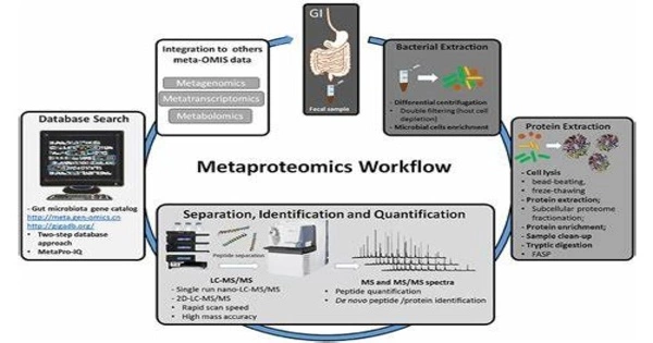Metaproteomics – a branch of microbiology