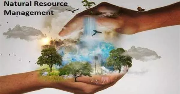 Natural Resource Management (NRM)