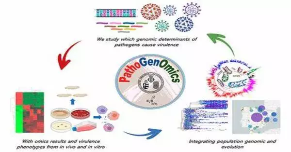 Pathogenomics – a field of genomics study