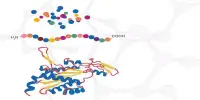 Proteomics – a large-scale study of proteins