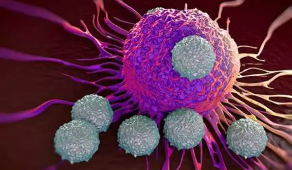 Reducing stress on T cells makes them better cancer fighters