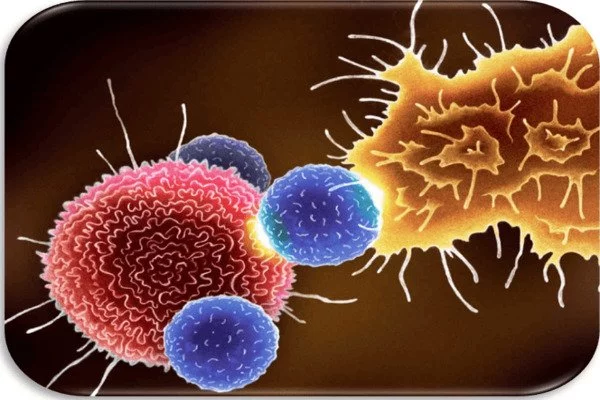 Researchers develop new way to target cancer cells