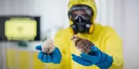 Researchers are Tackling Bird Flu in Order to Prepare for the Next Pandemic