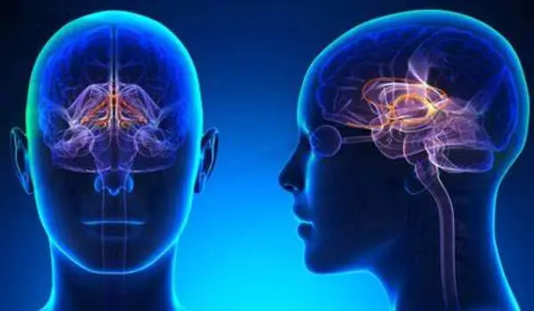 Traumatic memories can rewire the brain
