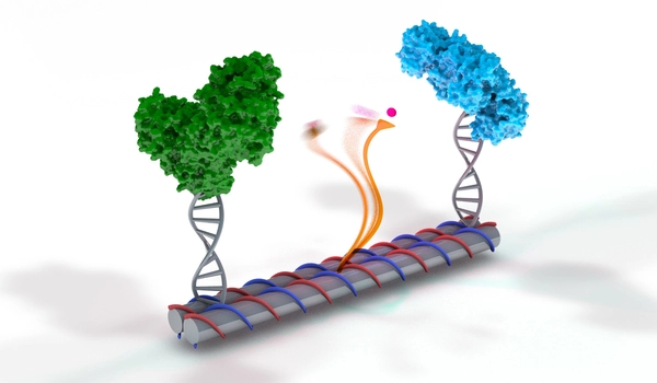 International team develops novel DNA nano engine