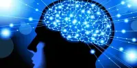 Cognitive Neuroscience – a scientific field