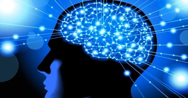 Cognitive Neuroscience – a scientific field