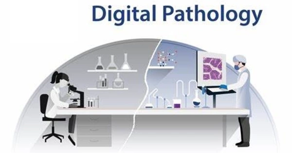 Digital Pathology – a sub-field of pathology