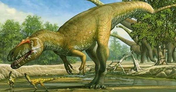 A New Study Uncovers Fascinating Insights Into the Dietary Patterns of North American Predatory Dinosaurs