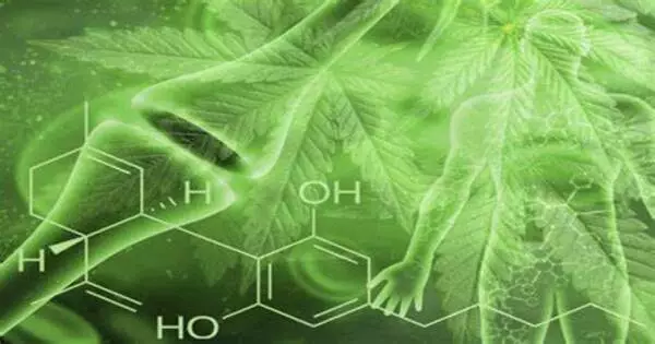 During Times of Stress, your Body’s Own Cannabis Molecules Soothe You