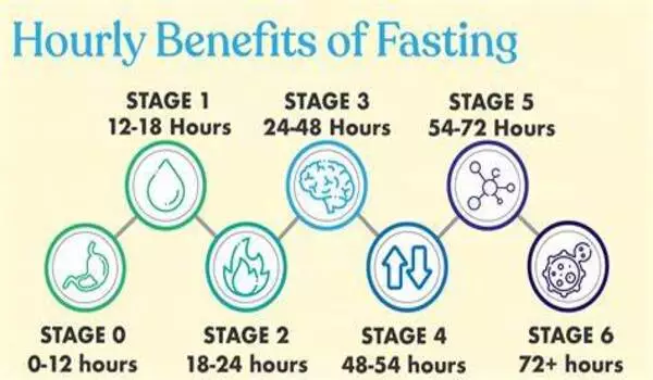 Cycle of fasting and feeding is crucial for healthy aging