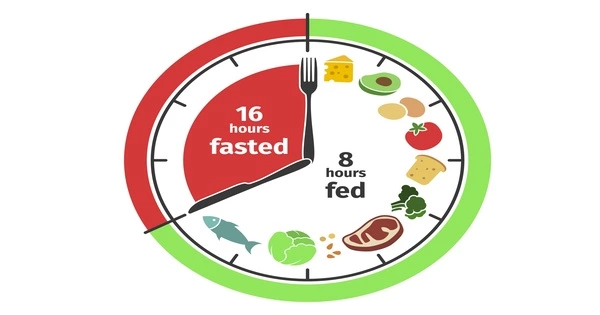 Fasting and Feeding Cycles are essential for Healthy Aging