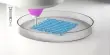 High-fidelity Cell-friendly Bioprinting expands its Medical Applications