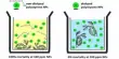 Micro- and Nanoplastics Ecotoxicity Testing