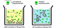 Micro- and Nanoplastics Ecotoxicity Testing