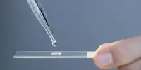 Microscope Slide – a thin flat piece of glass