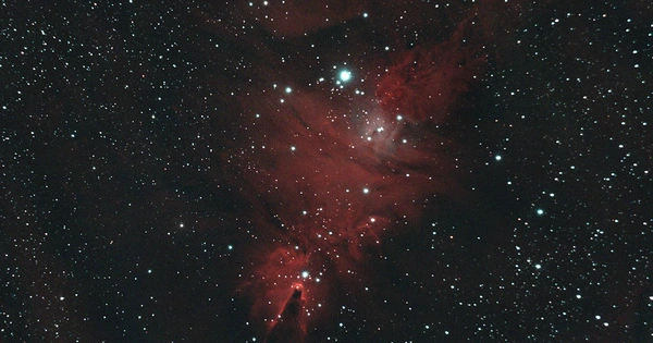 NGC 2264 – a well-known astronomical object