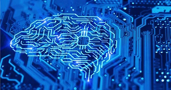 The Custom Algorithm Improves the Accuracy of an Experimental Brain-like Computer System