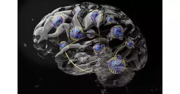 Twisted Magnets improve the adaptability of Brain-inspired Computing