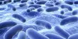 Two Probiotics have been Found as Potential Therapies for Hypertension