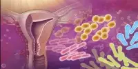 Uterine Microbiome