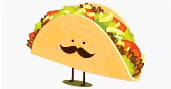 What an Animated Taco can teach us about Patience and Curiosity