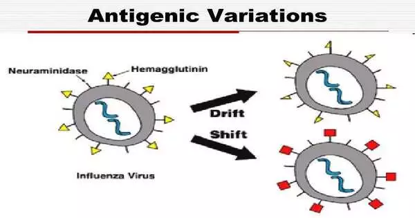 Antigenic Variation