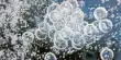 Carbon Bubble – a hypothesized bubble